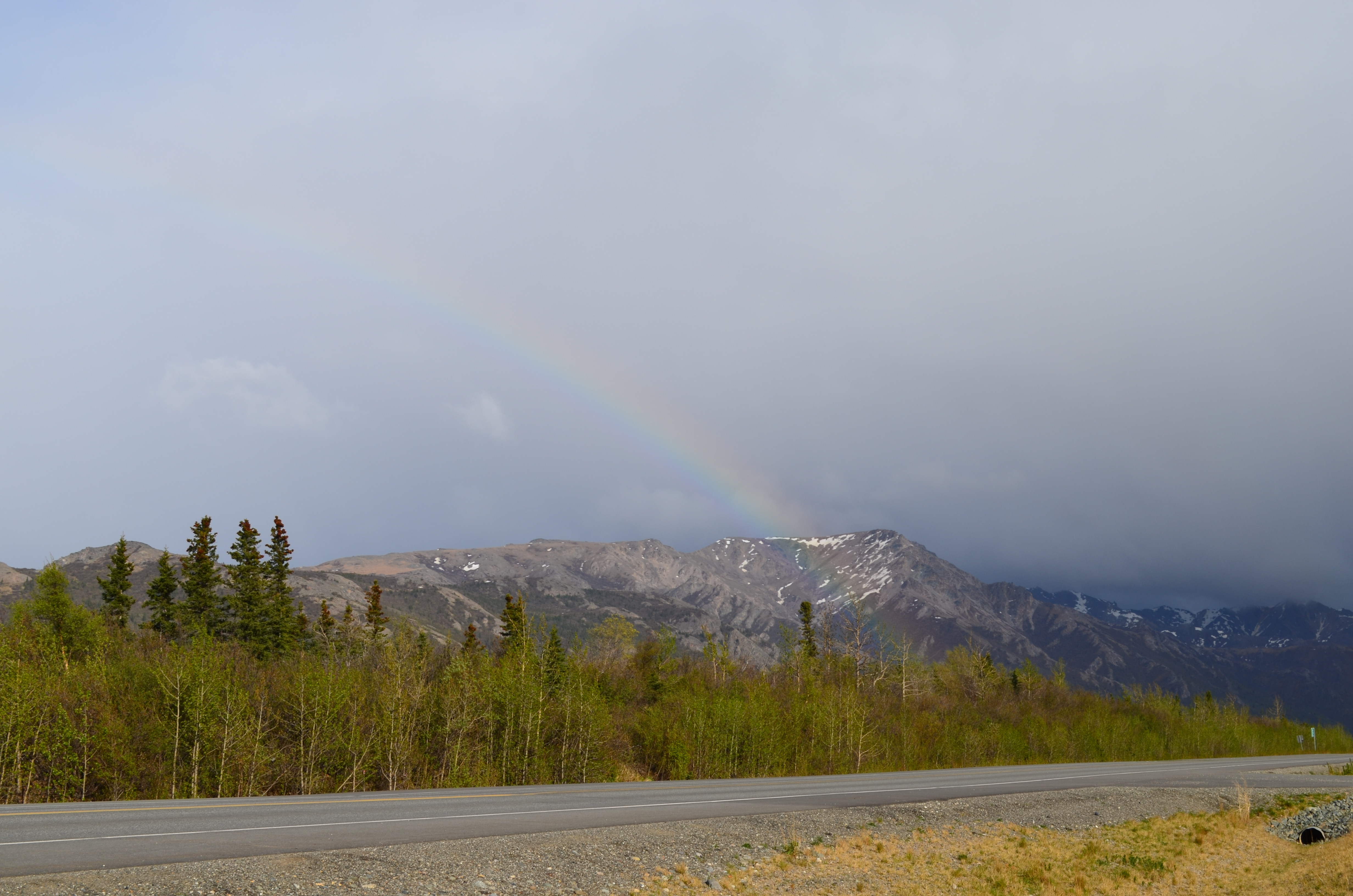 ./2017/08 - Alaska Cruise/03 - Denali/DSC_0144.JPG